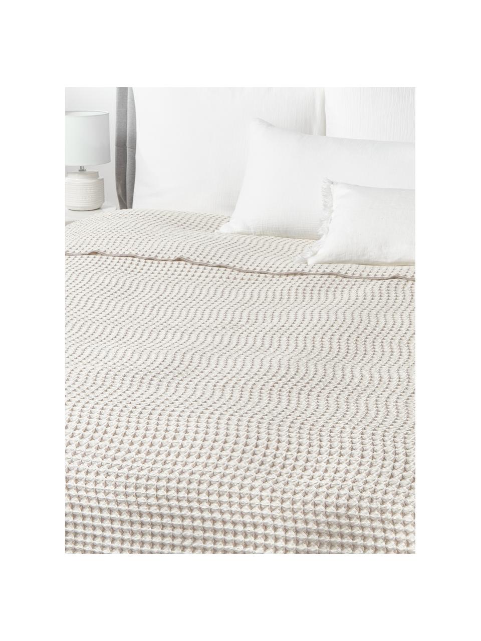Wafelpiqué bedsprei Allie, 100% katoen

Het in dit product gebruikte materiaal is getest op schadelijke stoffen en gecertificeerd volgens STANDARD 100 door OEKO-TEX®, 6457CIT, CITEVE., Beige, taupe, B 230 x L 250 cm