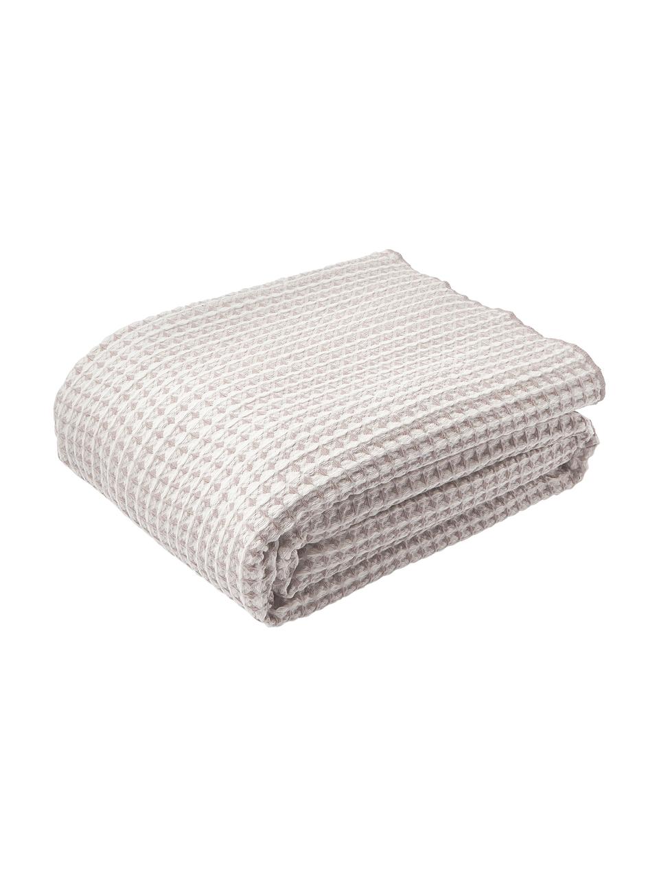 Colcha con estructura gofre Allie, 100% algodón

El material utilizado para este producto ha sido probado contra sustancias nocivas y está certificado según el STANDARD 100 por OEKO-TEX®, 6457CIT, CITEVE., Beige, gris pardo, An 230 x L 250 cm