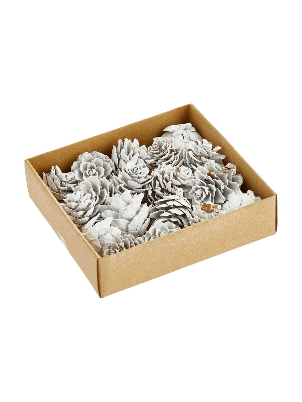 Deko-Zapfen-Set Pinecones, 18 Stück, Kieferzapfen, beschichtet, Weiss, Ø 6 x H 6 cm