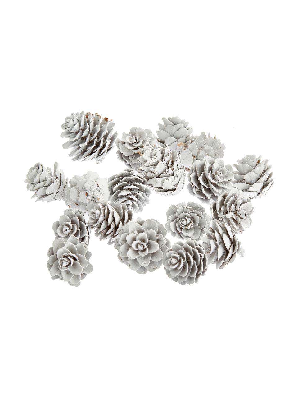 Komplet dekoracji Pinecones, 18 elem., Szyszki sosnowe powlekane, Biały, Ø 6 x W 6 cm