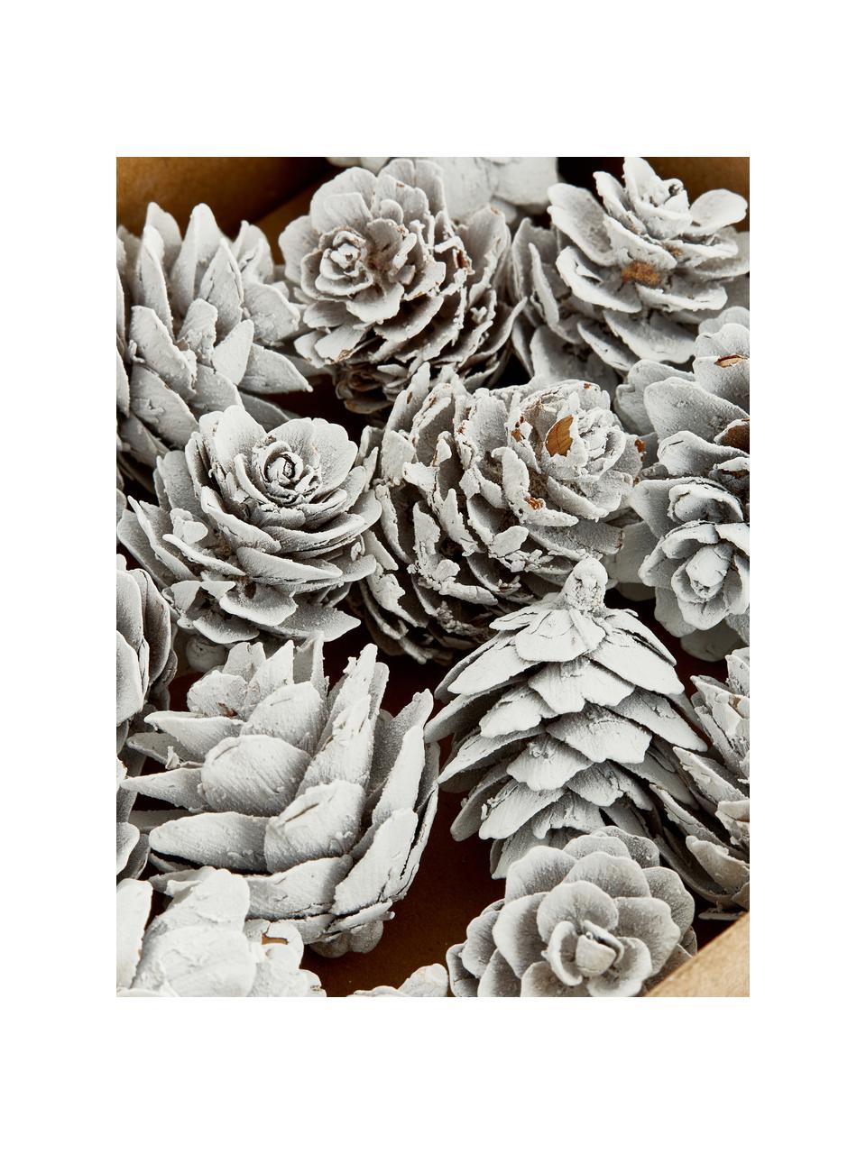Decoratieve objectenset Pinecones, 18-delig, Gecoat dennenappels, Wit, Ø 6 x H 6 cm