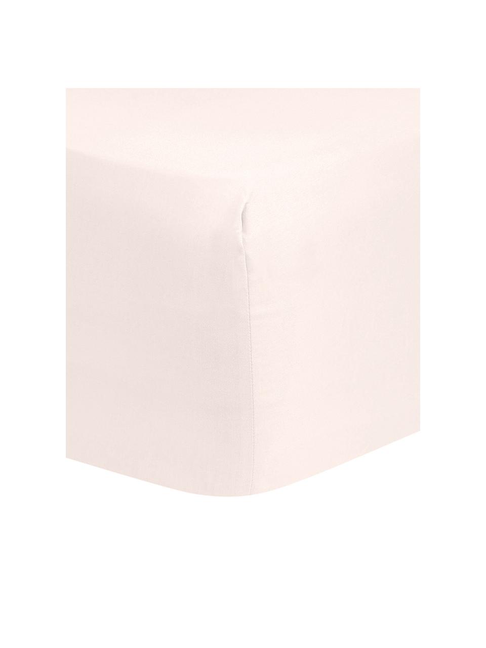 Hoeslaken Comfort in roze, katoensatijn, Weeftechniek: satijn, Roze, B 140 x L 200 cm
