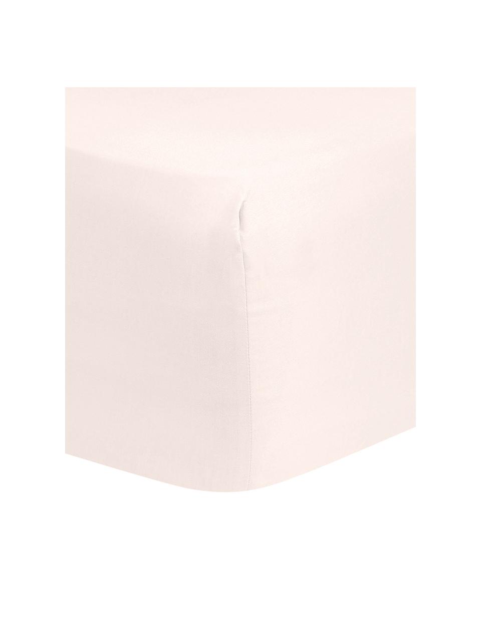 Spannbettlaken Comfort in Rosa, Baumwollsatin, Webart: Satin, Rosa, B 140 x L 200 cm