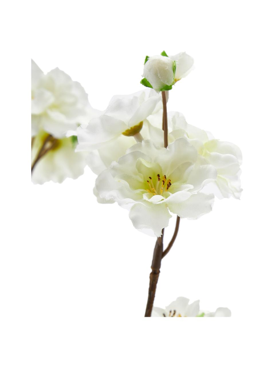 Fiore artificiale Ciliegio, Plastica, Bianco, giallo, marrone, Lunghezza 84 cm
