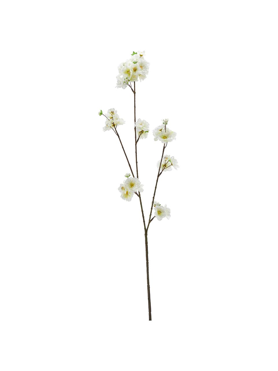 Flor artificial Kirschblüte, Plástico, Blanco, amarillo, marrón, L 84 cm