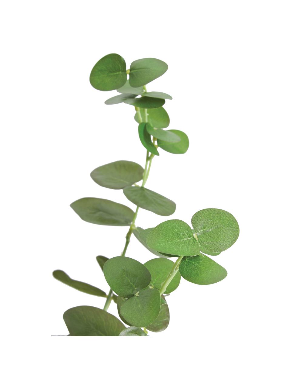 Umelá rastlina eukalyptus, Umelá hmota, Zelená, čierna, Ø 22 x V 55 cm