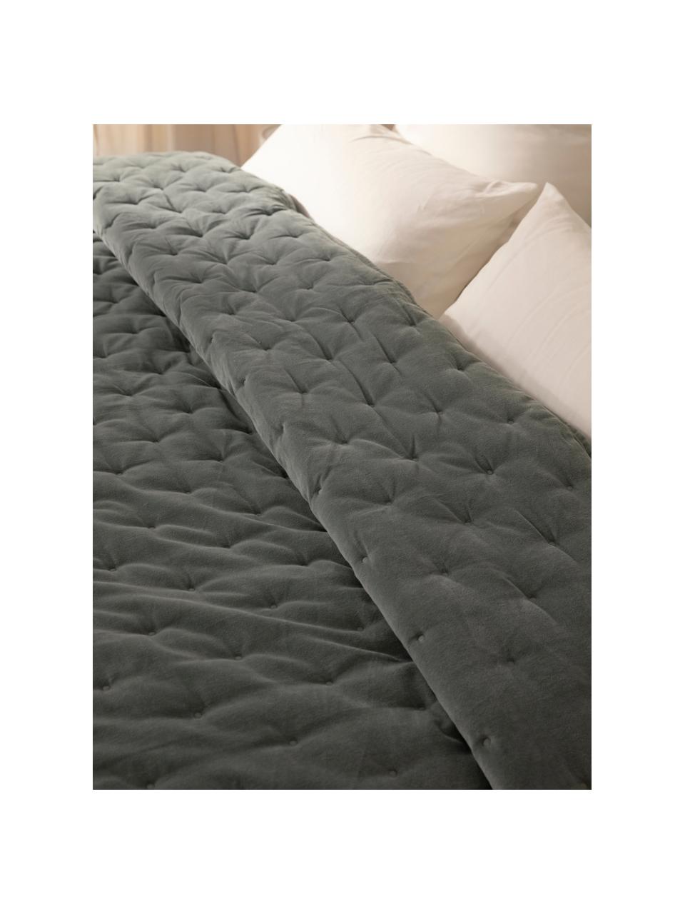 Colcha de terciopelo acolchada Cheryl, Parte superior: terciopelo de algodón, Reverso:  algodón, Gris, An 240 x L 250 cm (para camas de 200 x 200 cm)