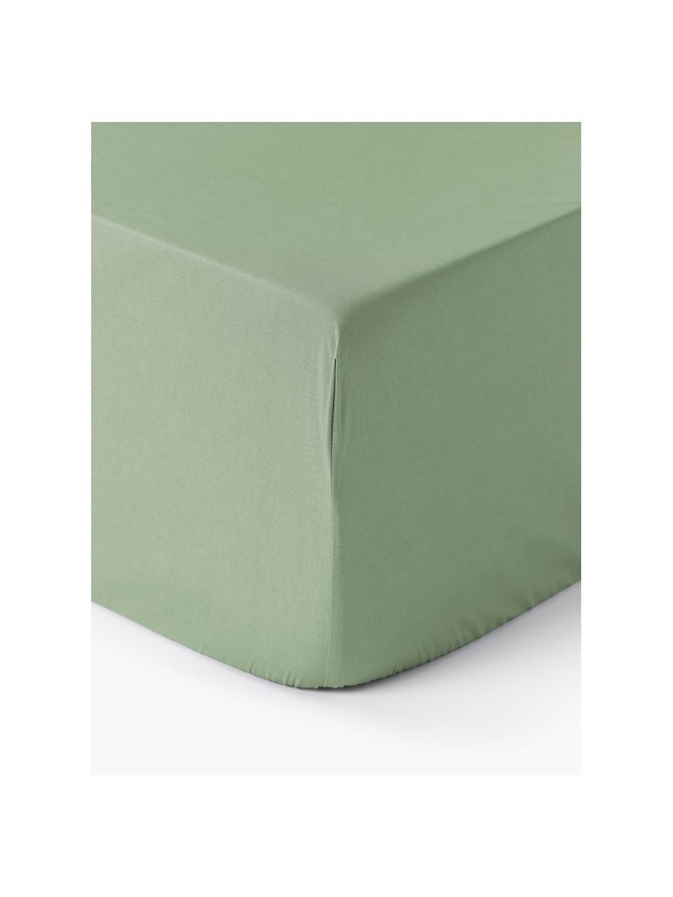 Lenzuolo con angoli boxspring in cotone percalle Elsie, Verde salvia, Larg. 160 x Lung. 200 cm, Alt. 35 cm