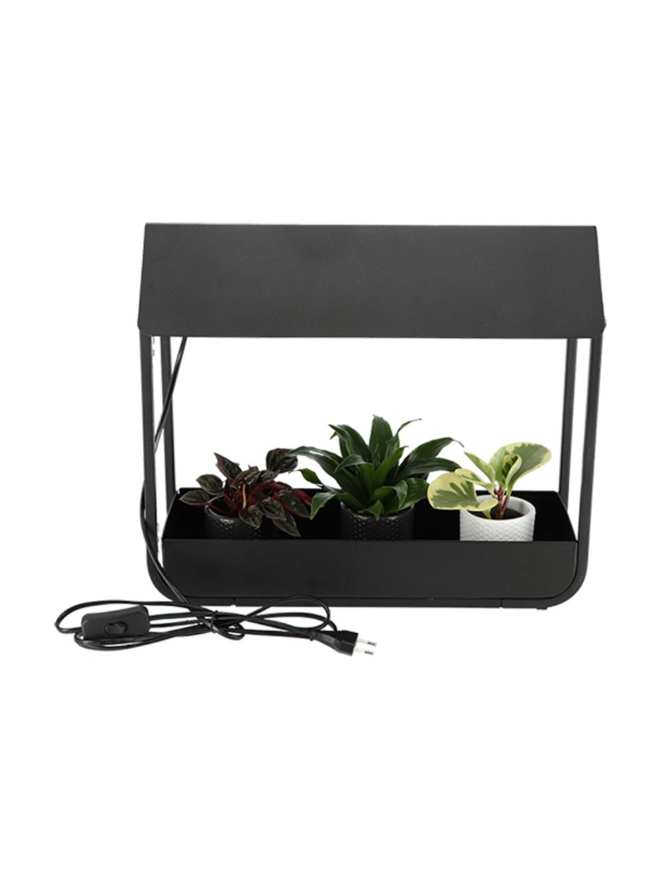 Lampe pour plantes LED Lilo