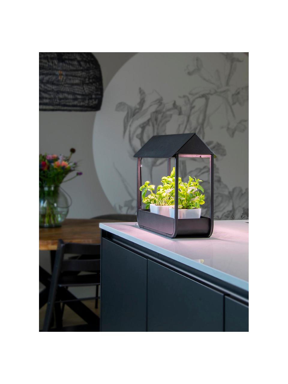 Lampe pour plantes LED Lilo, Noir, larg. 42 x haut. 37 cm