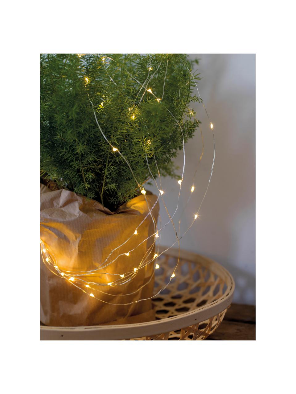 Décoration lumineuse Noël Triny, blanc chaud, Plastique, Transparent, long. 80 cm