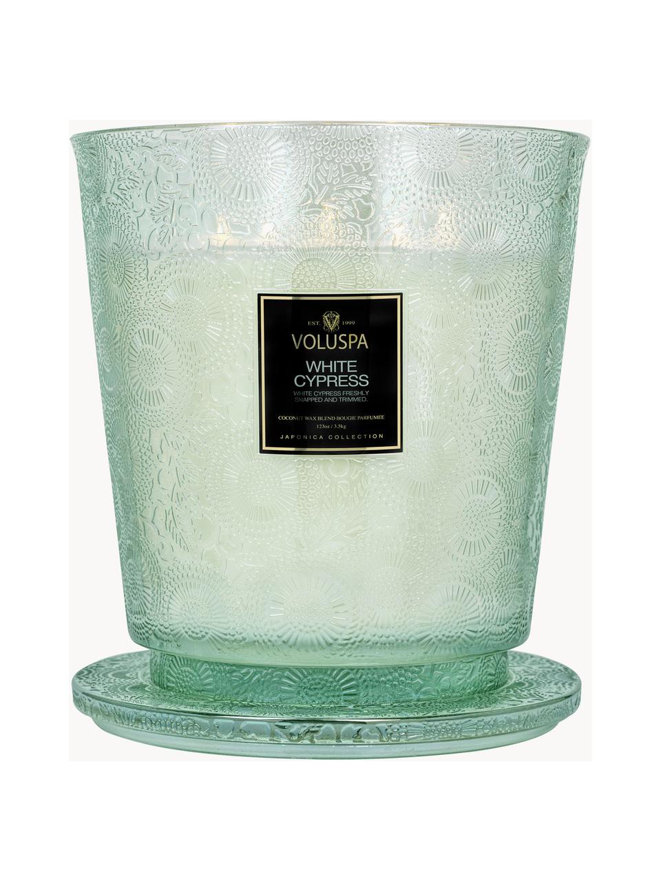 Candela profumata con cinque stoppini fatta a mano Japonica Collection (cipresso, bacche di ginepro, foglie di menta e l, Contenitore: vetro, Cipresso bianco, bacche di ginepro, foglie di menta e legno, Larg. 25 x Alt. 30 cm