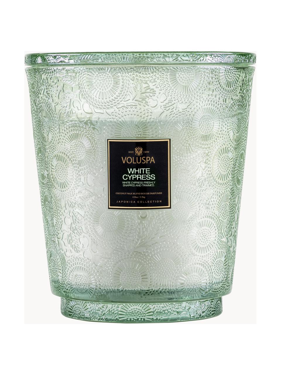 Bougie parfumée artisanale à cinq mèches Japonica Collection (cyprès, baies de genièvre, feuilles de menthe & bois), Cyprès blanc, baies de genièvre, feuilles de menthe & bois, Ø 25 x haut. 30 cm