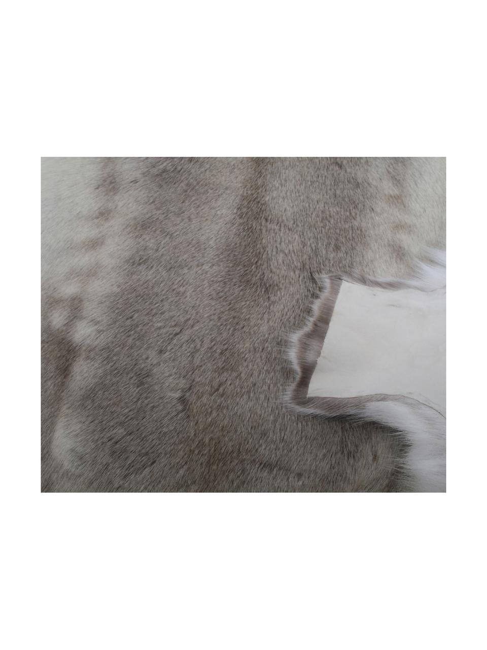 Afombra de piel de reno Zontas, Piel de reno, Tonos marrones, blanco, Piel de reno única 175, 75 x 115 cm