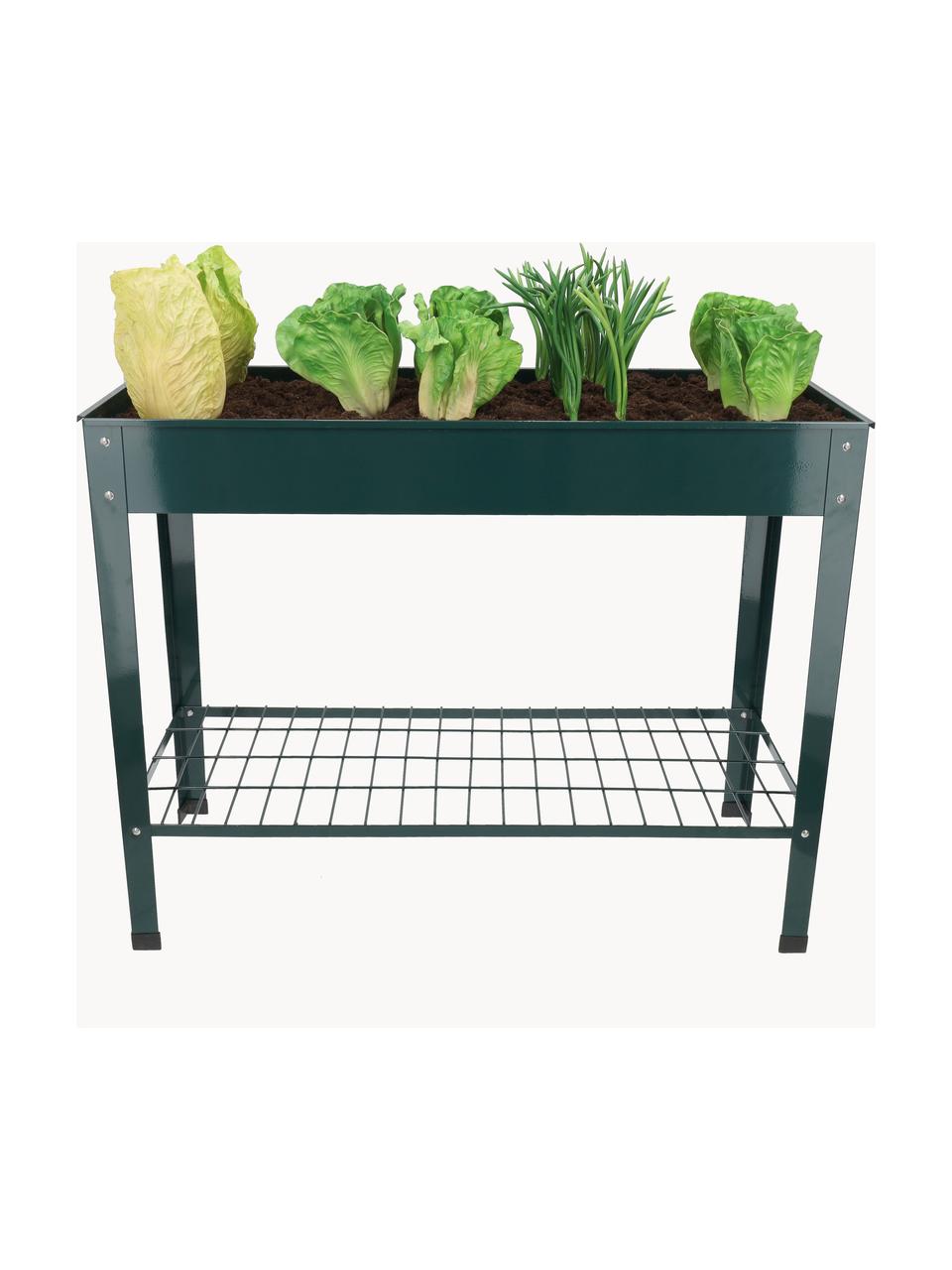 Consolle Vegetables, Piedini: plastica, Verde scuro, Larg. 101 x Alt. 51 cm