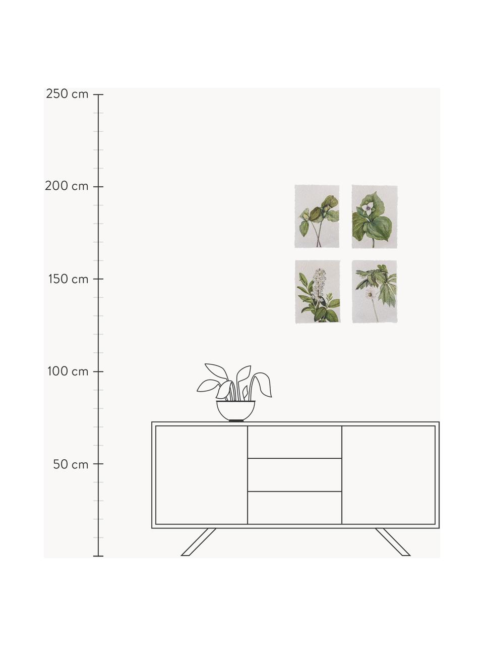 Set de pósters Fribo, 4 uds., Papel, Verde, blanco, An 26 x Al 35 cm