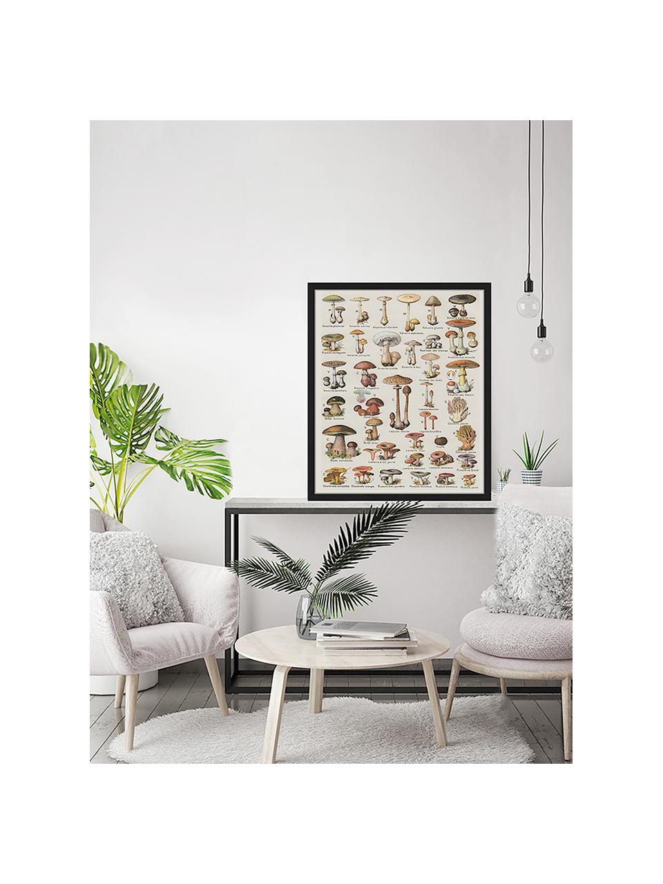 Ingelijste digitale print Mushroom Vintage Poster, Afbeelding: digitale print op papier,, Lijst: gelakt hout, Multicolour, B 53 cm x H 63 cm