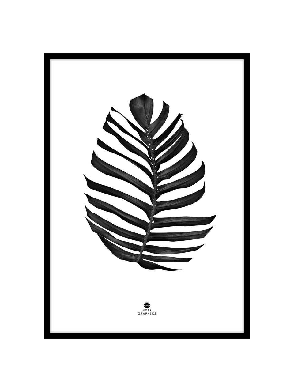 Stampa digitale incorniciata Jungle Leaf Black, Immagine: stampa digitale su carta , Cornice: Pannello di fibra ad alta, Nero, bianco, Larg. 30 x Alt. 40 cm
