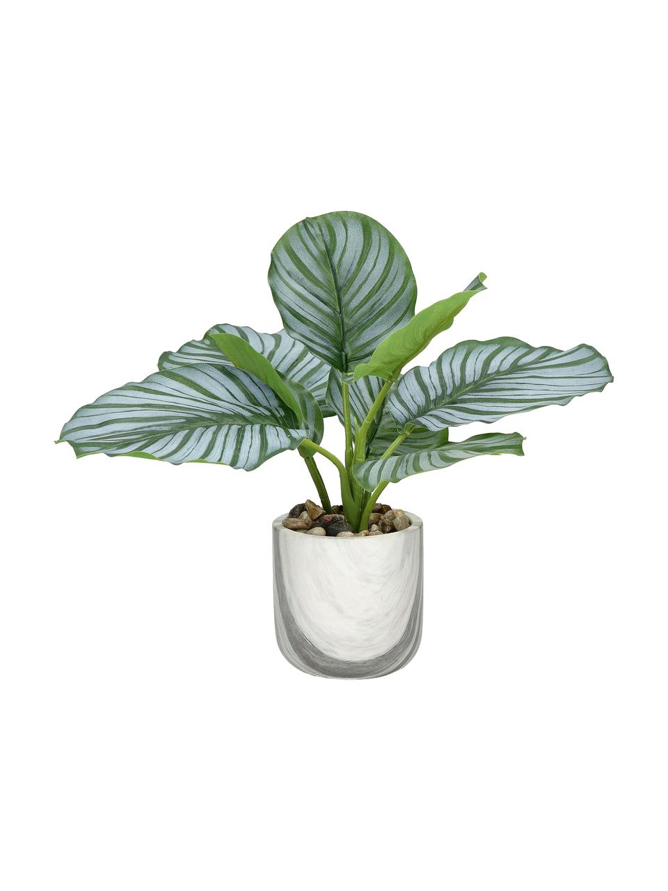 Kunstplant Marmura in een plantenpot, Groen, bruintinten, wit, Ø 12 x H 23 cm