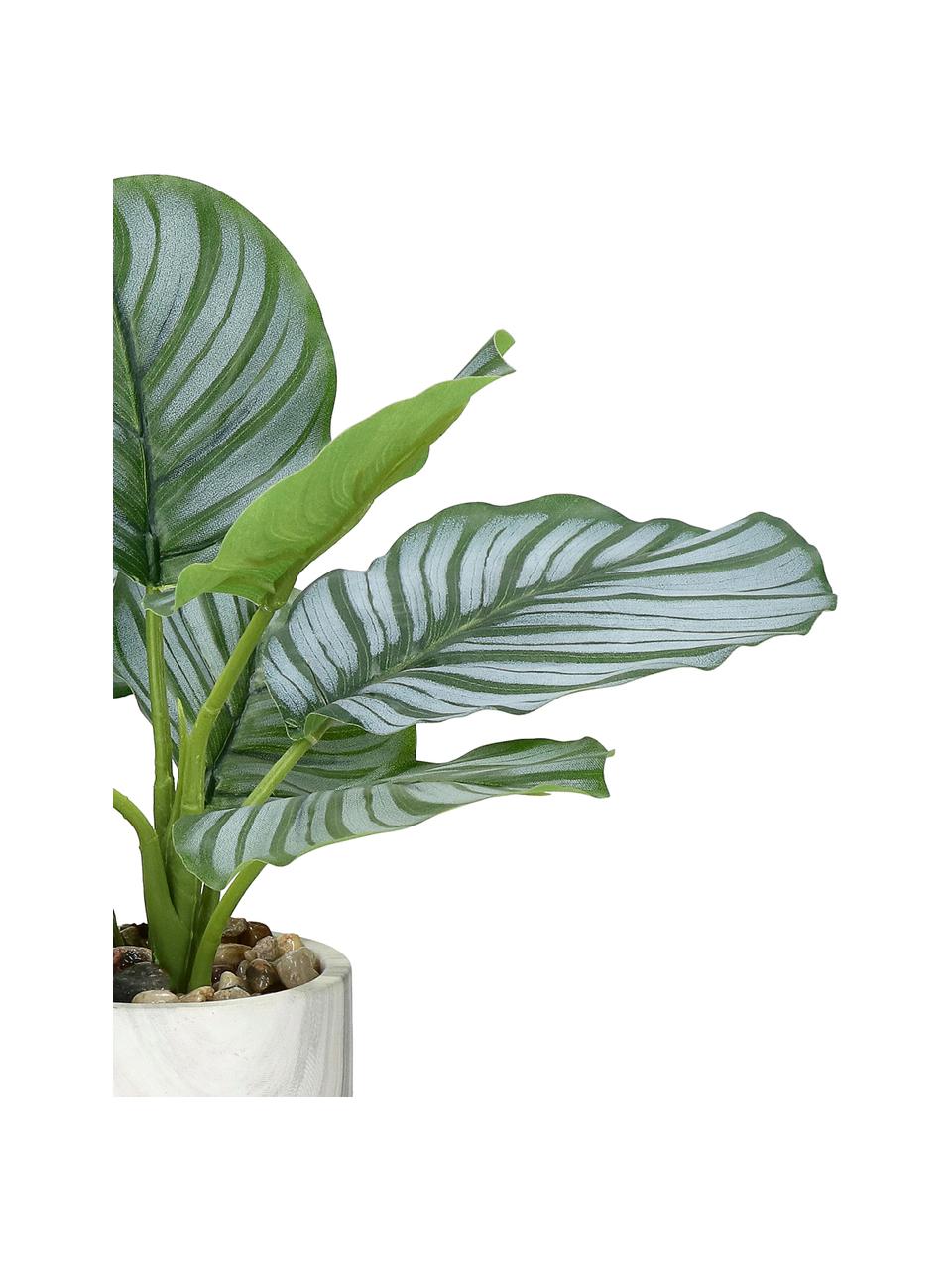 Dekoracyjna roślina w doniczce Marmura, Zielony, odcienie brązowego, biały, Ø 12 x W 23 cm