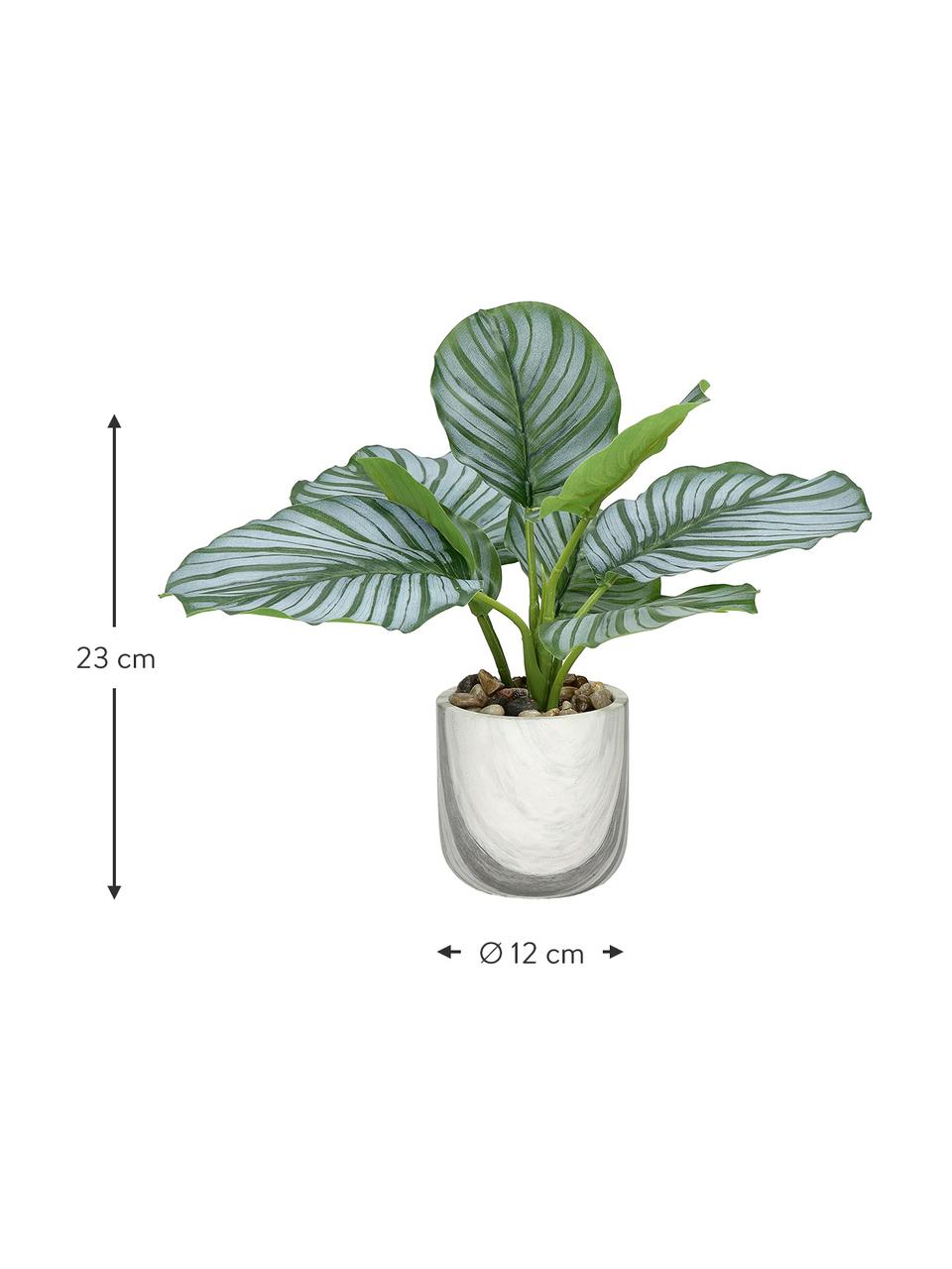 Planta artificial con maceta Marmura, Verde, tonos marrones, blanco, Ø 12 x Al 23 cm