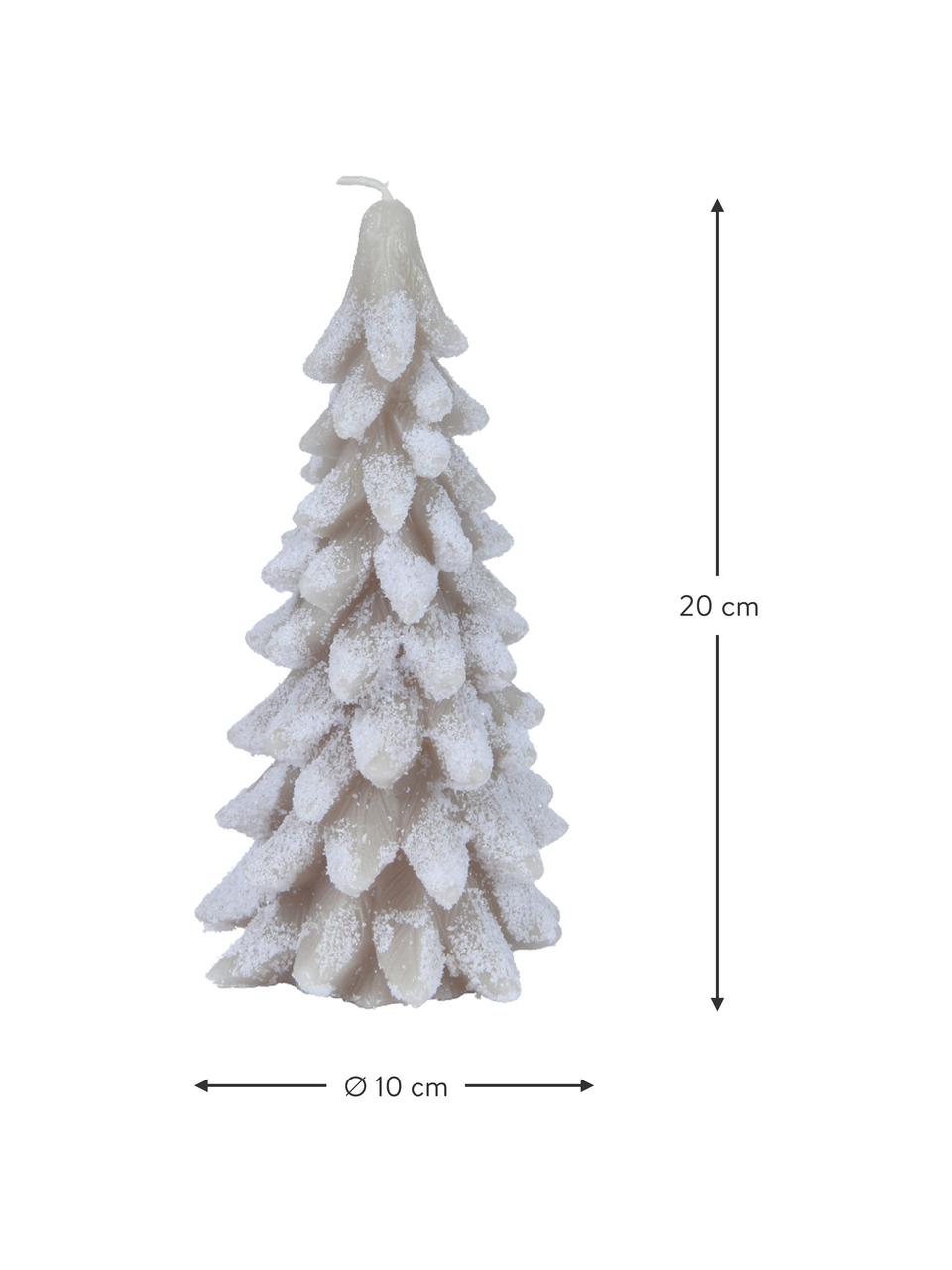 Vela navideña pino Tree, Cera, Gris claro, blanco, Ø 10 x Al 20 cm