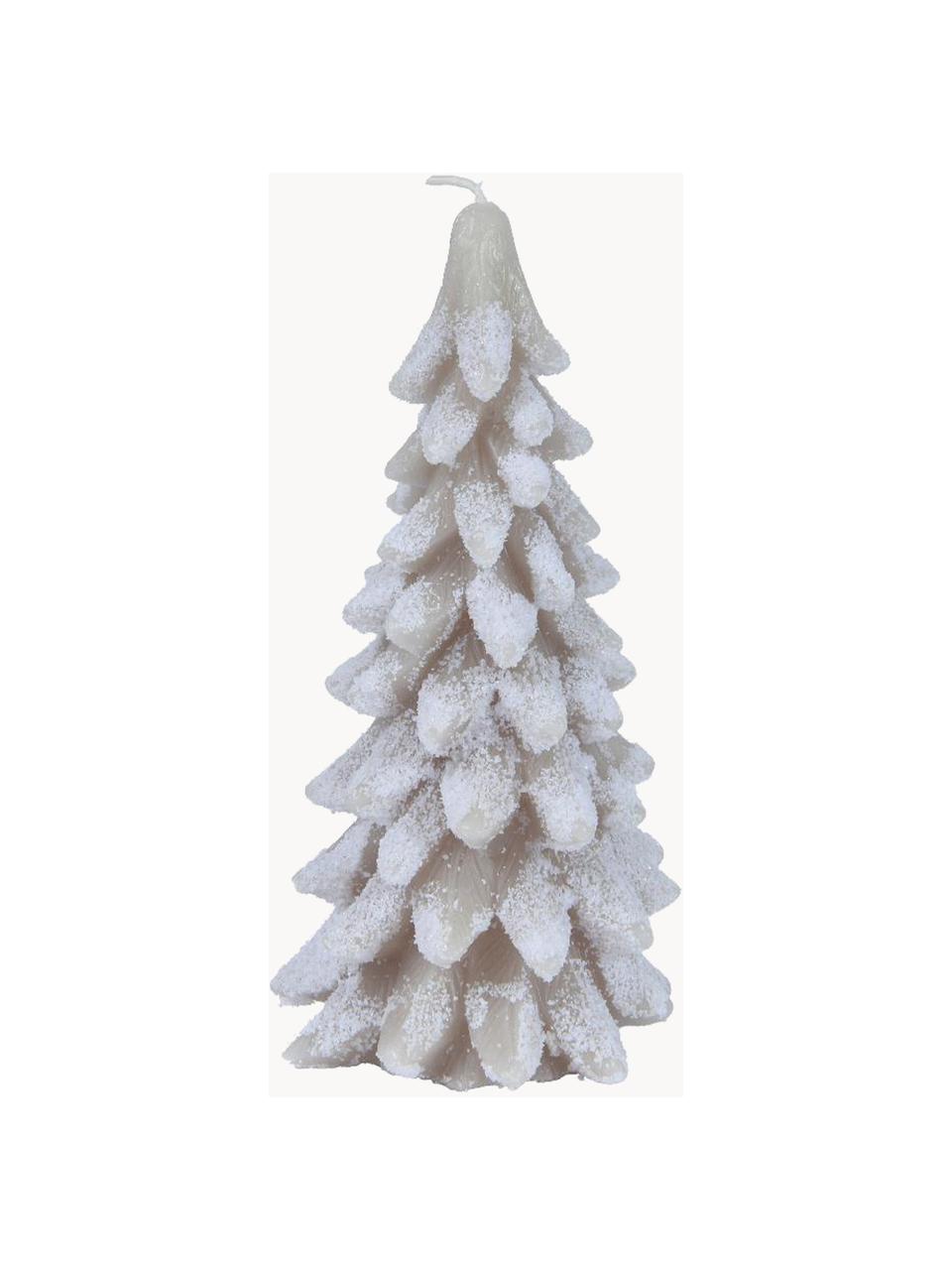 Vela navideña pino Tree, Cera, Gris claro, blanco, Ø 10 x Al 20 cm