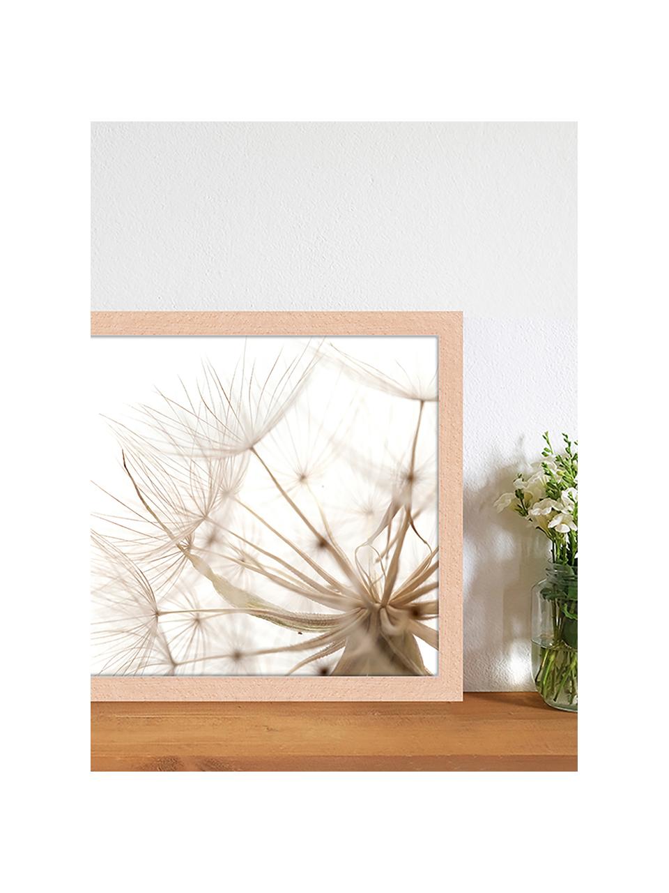 Gerahmter Digitaldruck Flora Of Gran Canaria, Bild: Digitaldruck auf Papier, , Rahmen: Holz, lackiert, Front: Plexiglas, Mehrfarbig, B 43 x H 33 cm