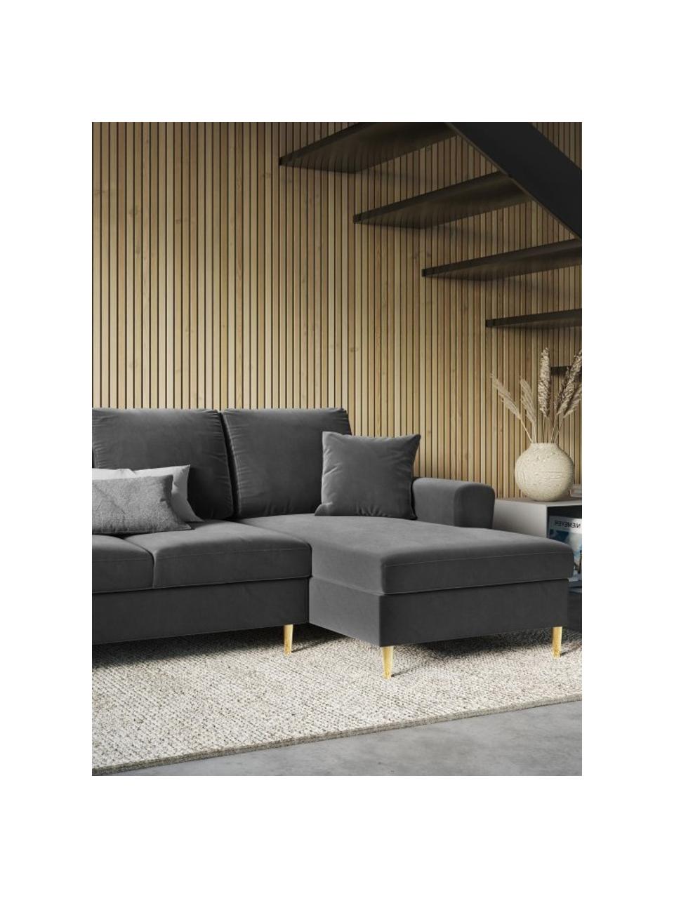Divano letto angolare 4 posti in velluto con contenitore Moghan, Rivestimento: 100% velluto di poliester, Struttura: legno di pino massiccio, , Piedini: metallo rivestito, Velluto grigio, ottonato, Larg. 241 x Prof. 145 cm, chaise-longue a destra