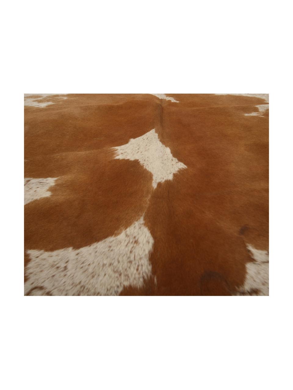 Alfombra de piel bovina Jura, Piel bovina, Marrón, beige, Piel bovina única 983, 160 x 180 cm