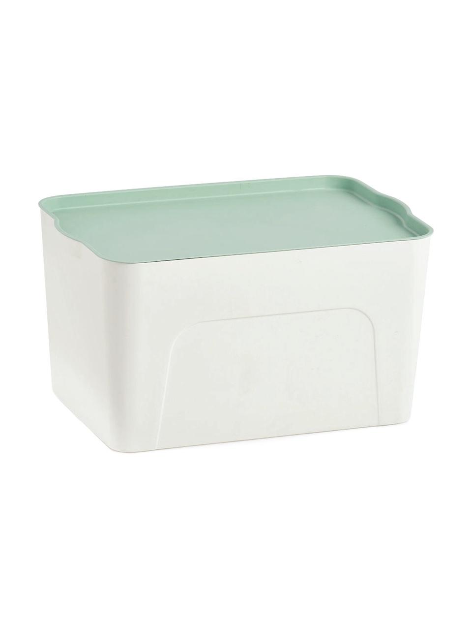 Aufbewahrungsbox Mintho, Kunststoff, Mintgrün, 45 x 25 cm