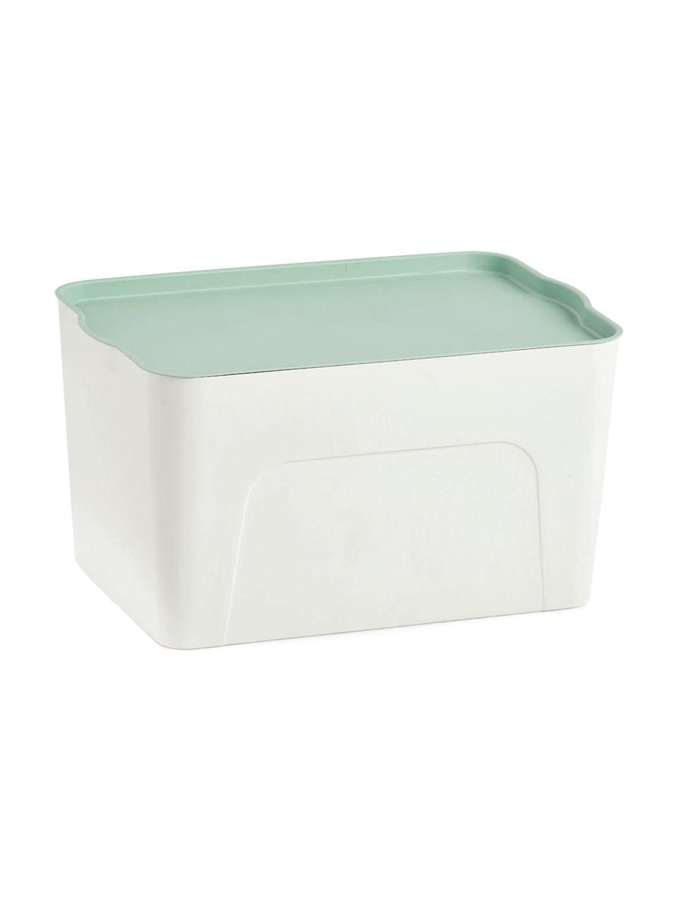 Caja Mintho, Plástico, Verde menta, An 45 x Al 25 cm