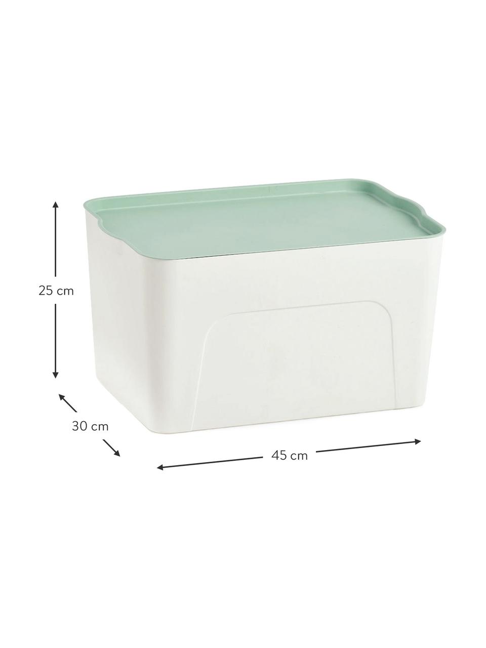 Pudełko do przechowywania Mintho, Tworzywo sztuczne, Zielony miętowy, S 45 x W 25 cm