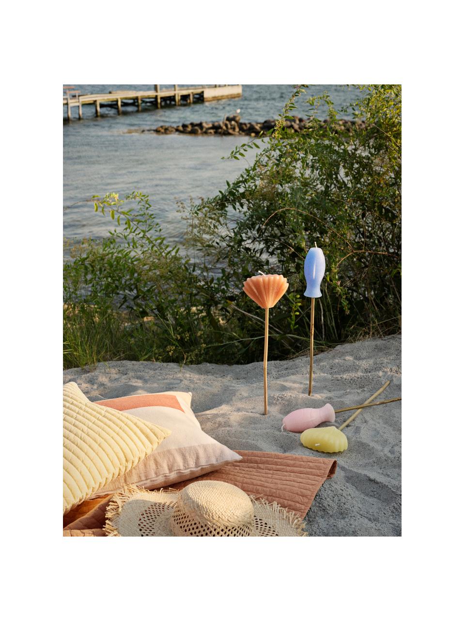 Bougie artisanale en forme de coquillage Fruit, Paraffine, Orange, larg. 15 x haut. 10 cm