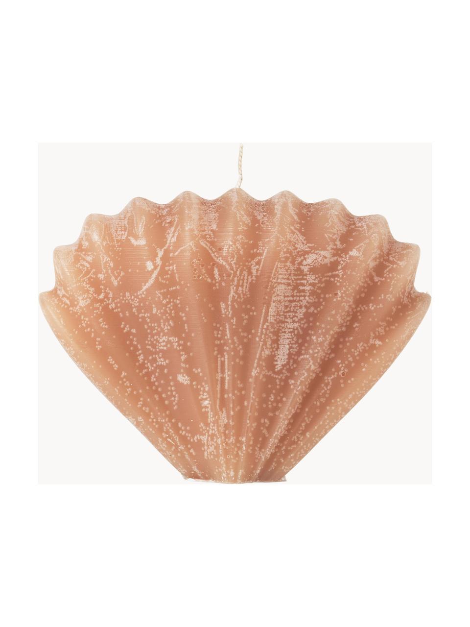 Candela fatta a mano a forma di conchiglia Seashell, Paraffina, Arancione, Larg. 15 x Alt. 10 cm