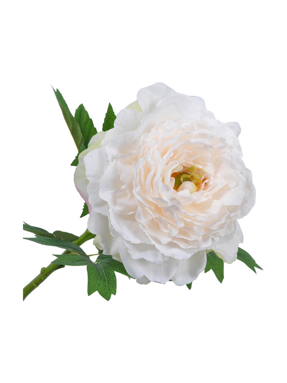 Flor artificial peonía Enia, Blanco crema, L 61 cm