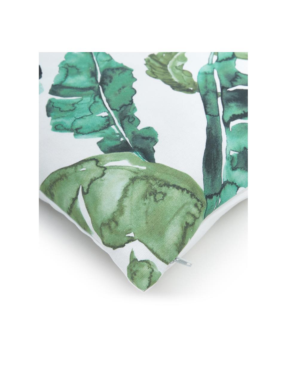 Bavlněný povlak na polštář s motivy listů Shade, 100 % bavlna, Zelená, bílá, Š 45 cm, D 45 cm
