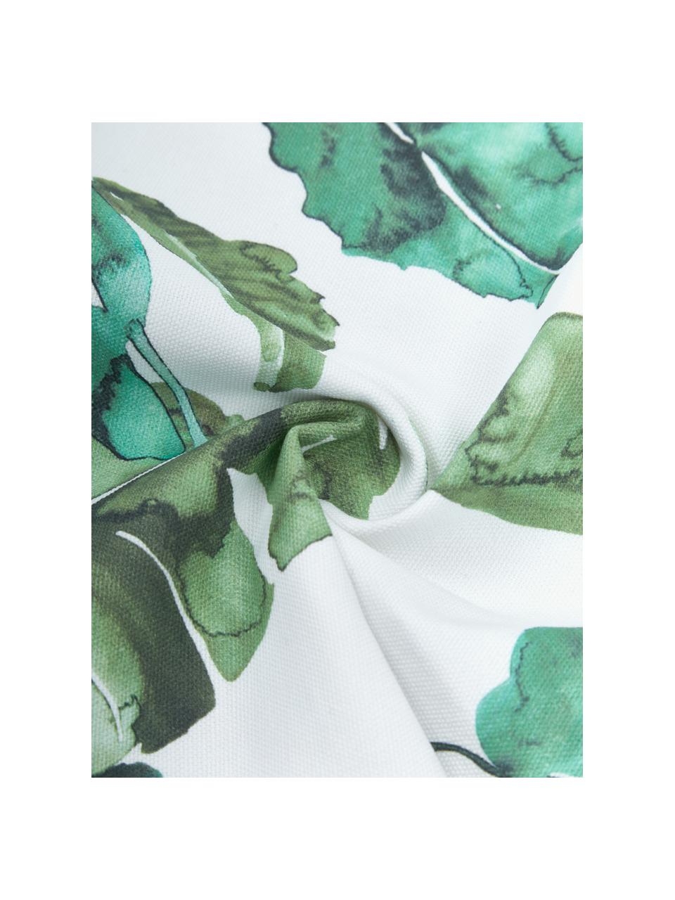 Copricuscino in cotone con motivo foglie Shade, 100% cotone, Verde, bianco, Larg. 45 x Lung. 45 cm