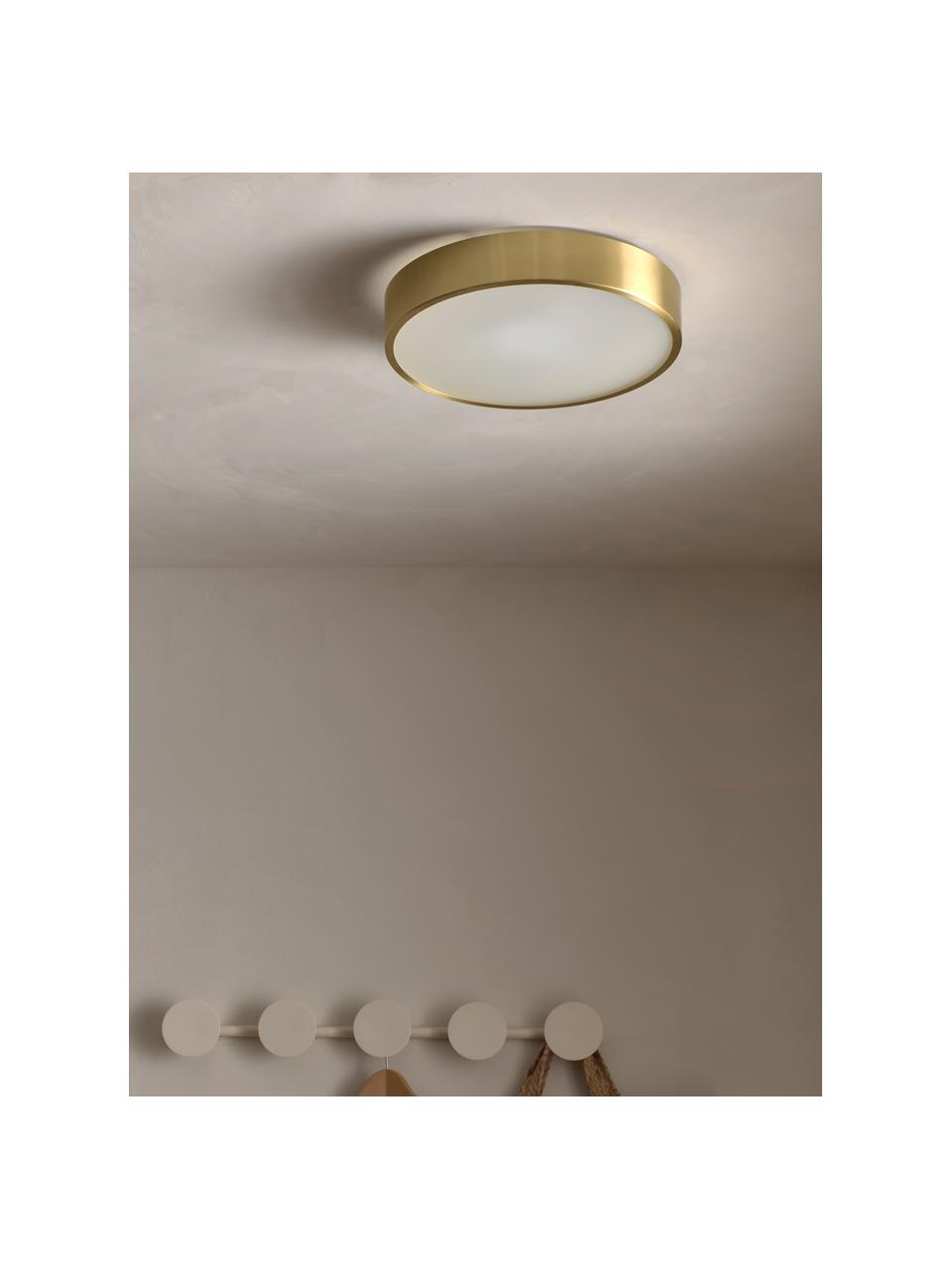 Stropná lampa Dante, Odtiene zlatej, Ø 40 x V 7 cm