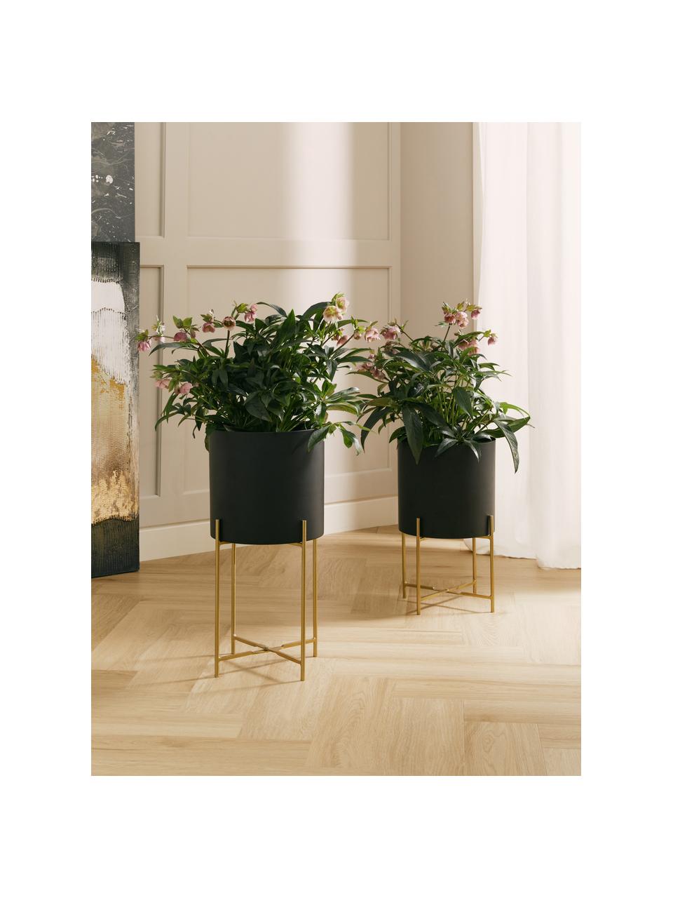 Cache-pots en métal sur pied Mina, 2 élém., Métal, revêtement par poudre, Noir, couleur dorée, Lot de différentes tailles