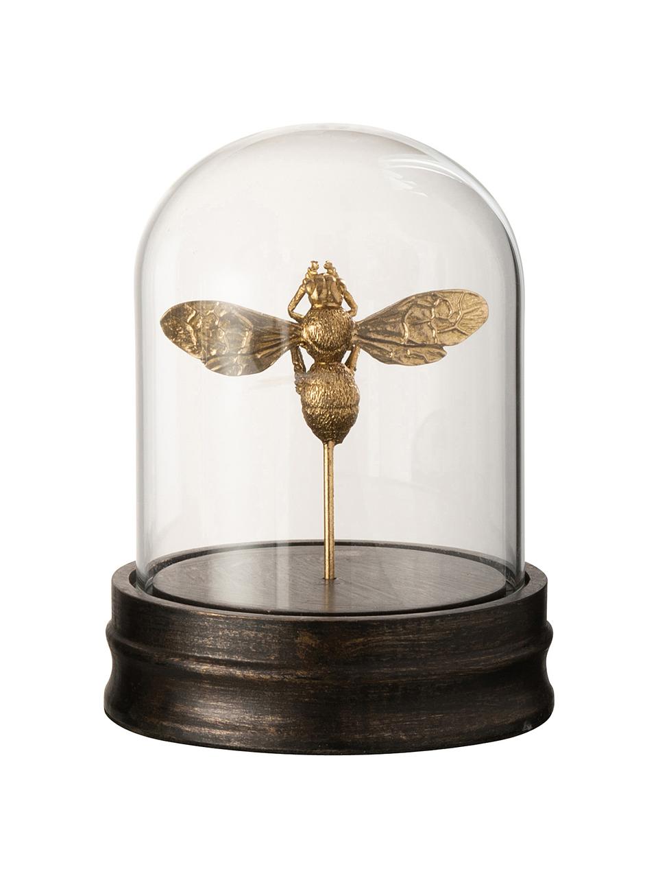 Figura decorativa Bumblebee, Urna: vidrio, Dorado, Ø 13 x Al 28 cm