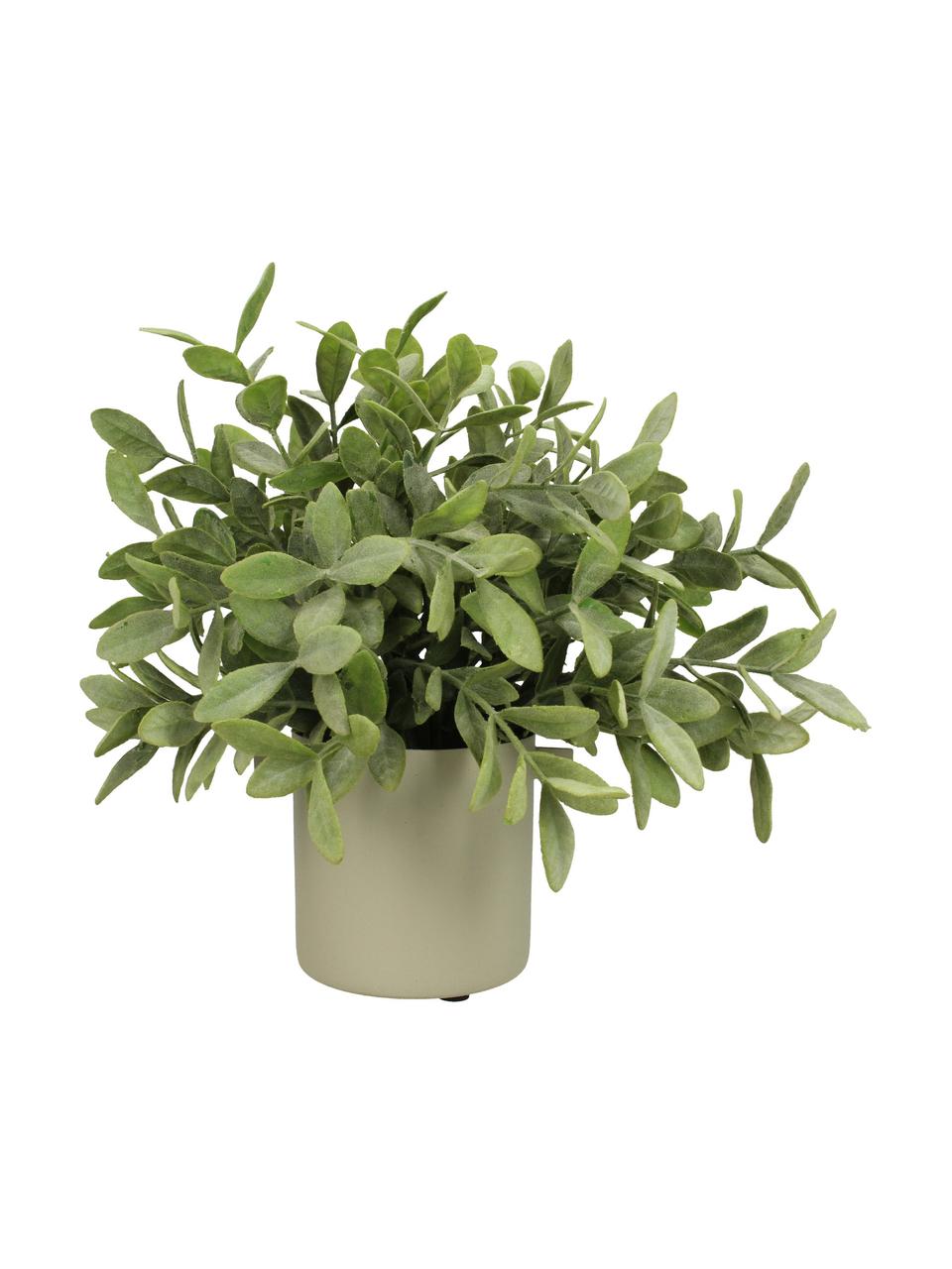 Kleine plantenpot Onyx, Gecoat metaal, Beige, Ø 9 x H 12 cm