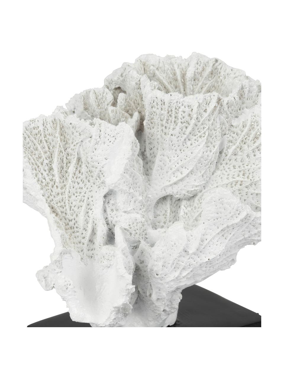 Oggetto decorativo bianco Bordermer, Materiale sintetico, Bianco, nero, Larg. 13 x Alt. 12 cm