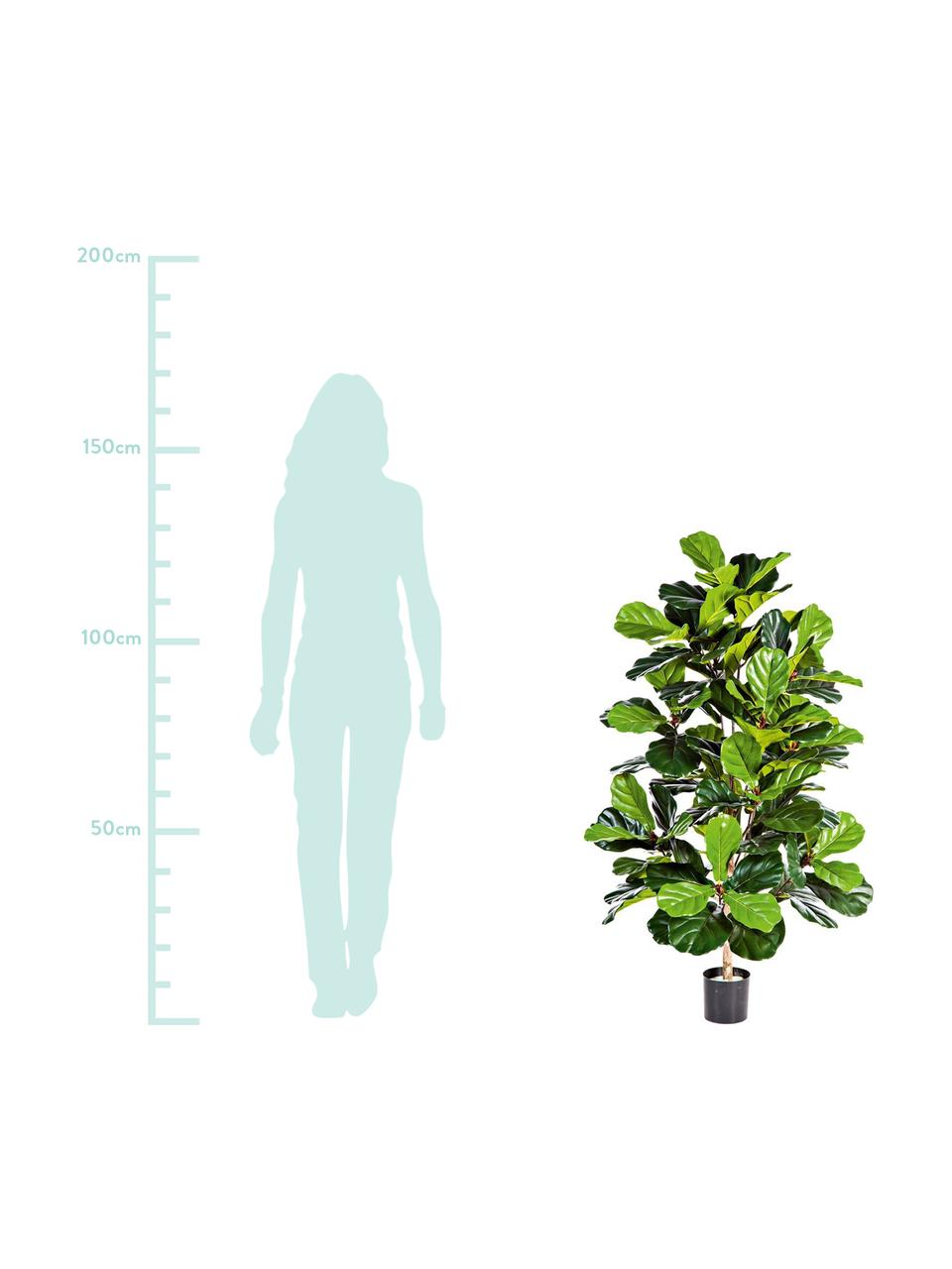 Planta artificial Ficus, Poliéster, Polietileno, Verde, Ø 50 x Al 130 cm