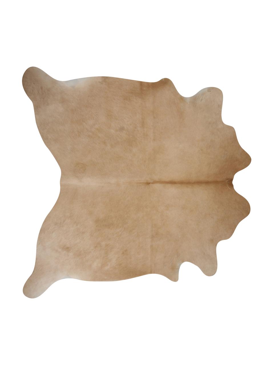 Koberec z hovězí kůže Anna, Hovězí kůže, Béžová, Hovězí kůže, unikát, 1090, 160 x 180 cm