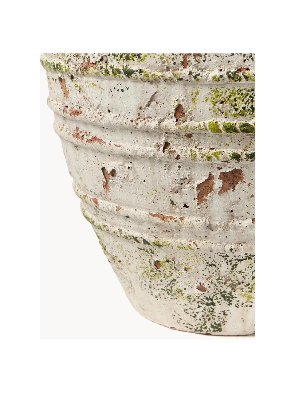 Cache-pot en béton Porto, haut. 52 cm, Béton, Blanc cassé, terracotta, vert, Ø 36 x haut. 52 cm