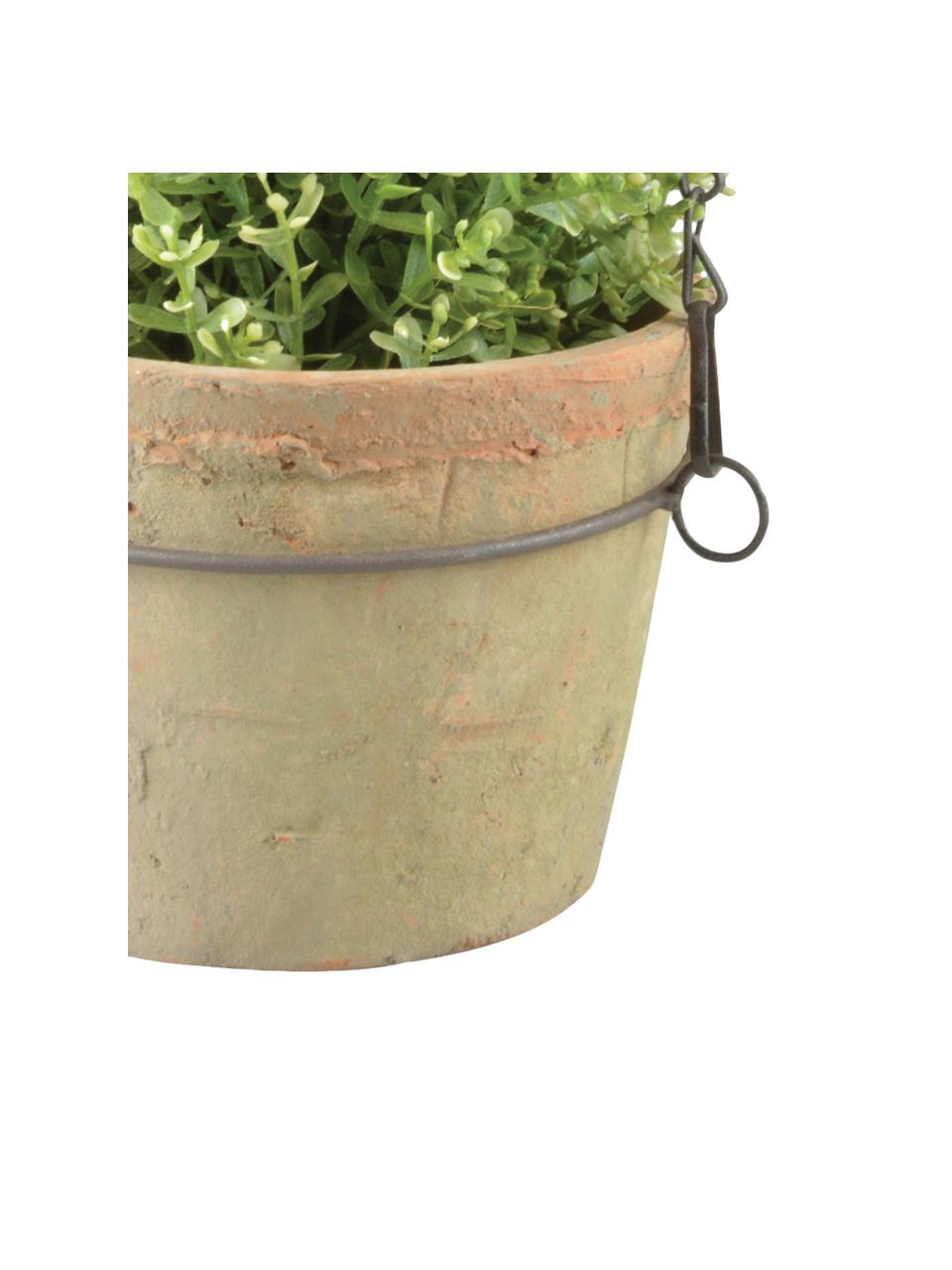 XS hangende plantenpot Vila, Pot: terracotta, Terracottarood, B 16 cm x H 12 cm