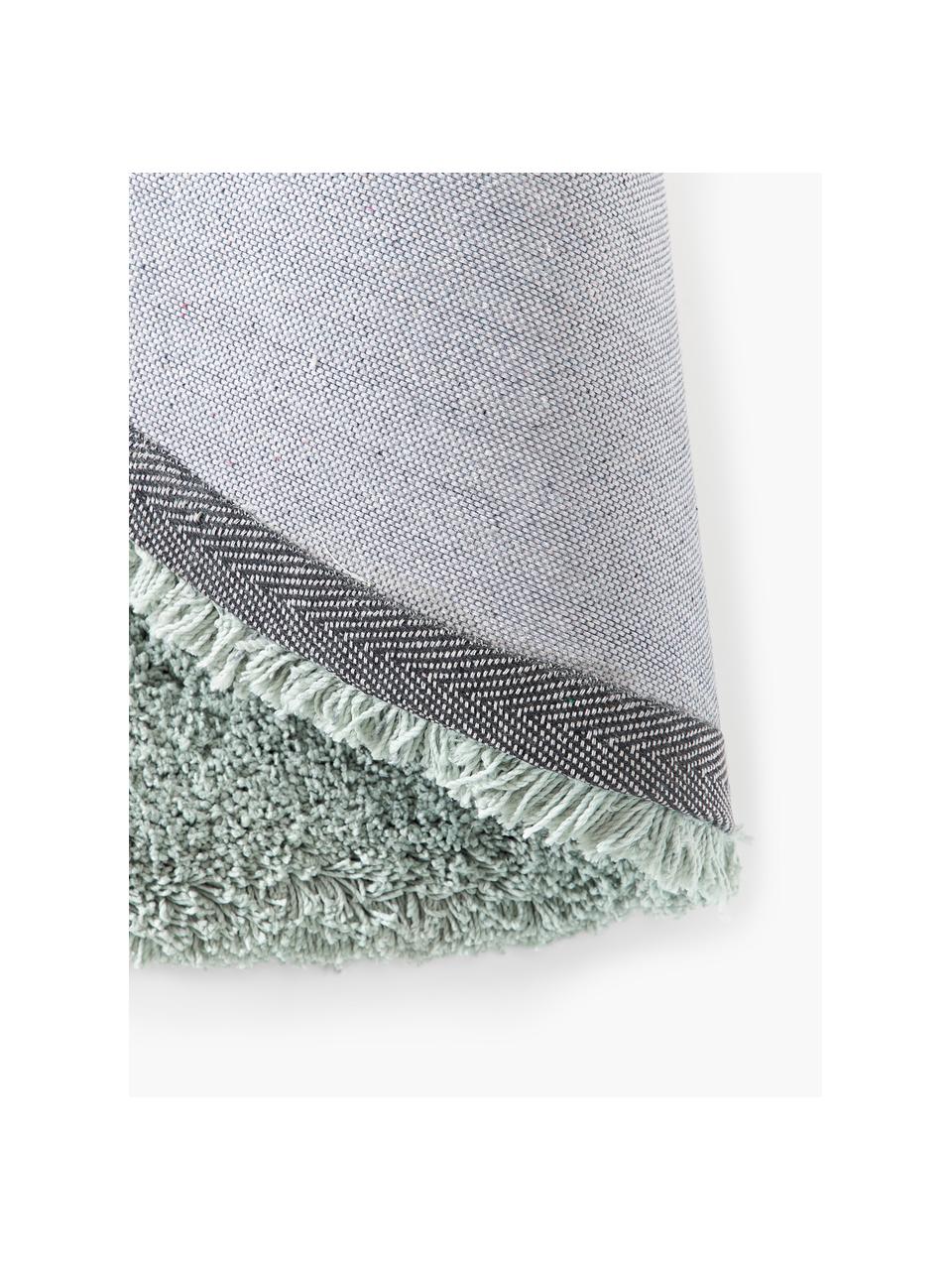 Alfombra redonda de pelo largo Leighton, Parte superior: microfibra (100% poliéste, Reverso: 70% poliéster, 30% algodó, Verde menta, Ø 120 cm (Tamaño S)