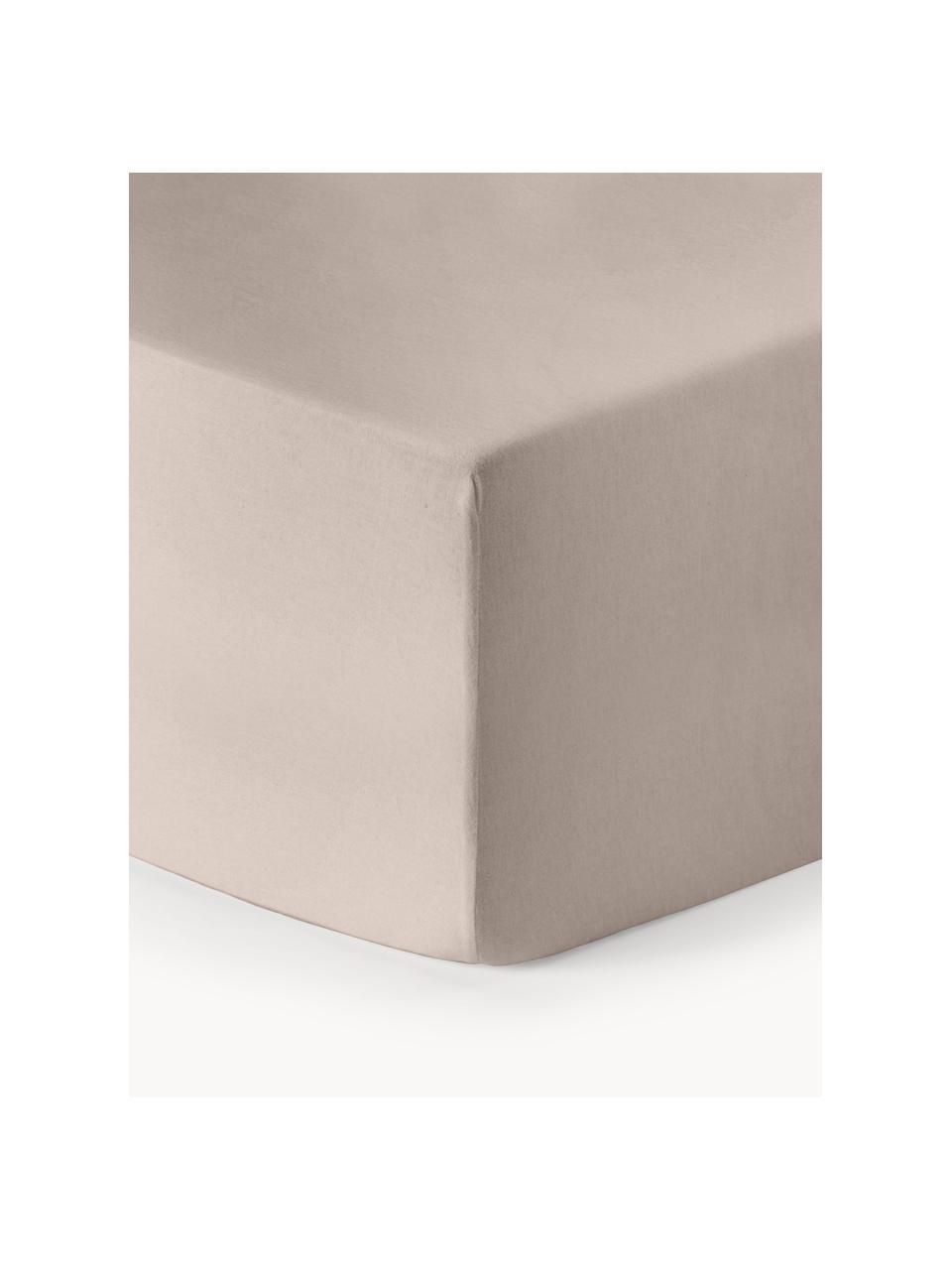 Boxspring-Spannbettlaken Biba, Flanell, Webart: Flanell, Beige, B 200 x L 200 cm, H 35 cm