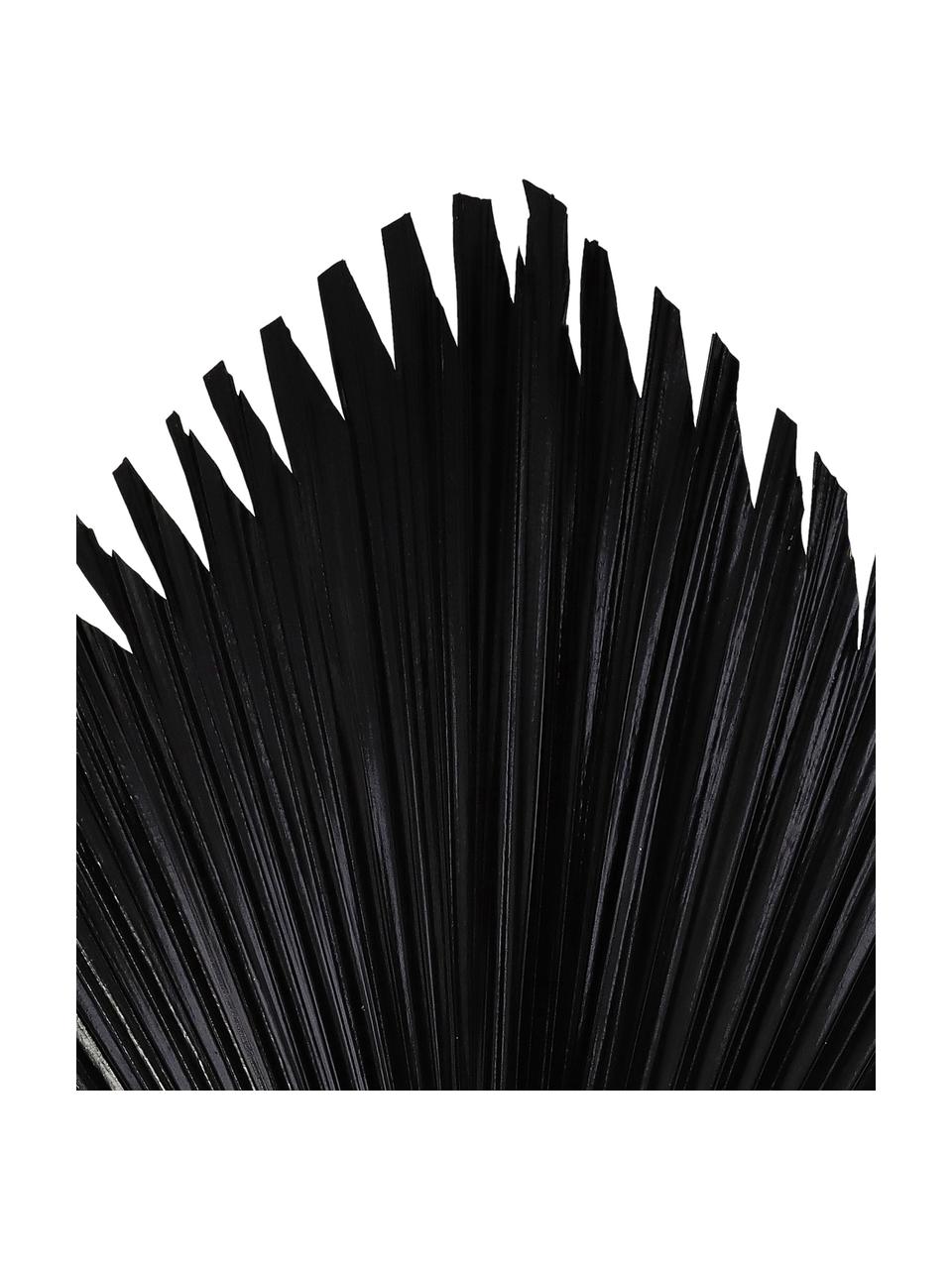 Fleur artificielle Palm Leaf, Polyester, Noir, larg. 40 x haut. 85 cm